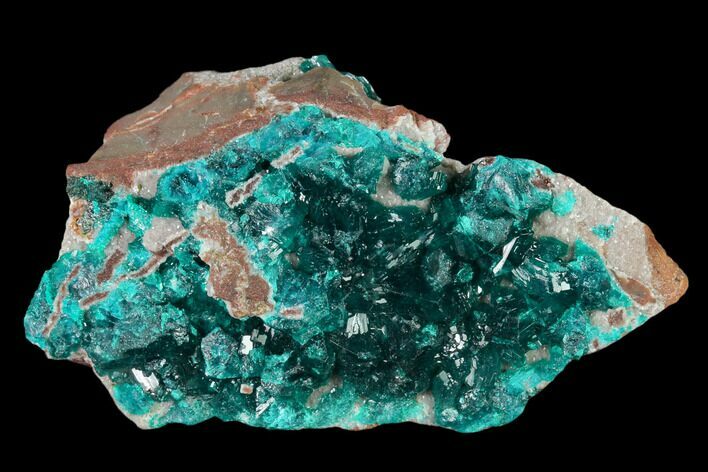 Gemmy Dioptase Crystal Cluster - N'tola Mine, Congo #148463